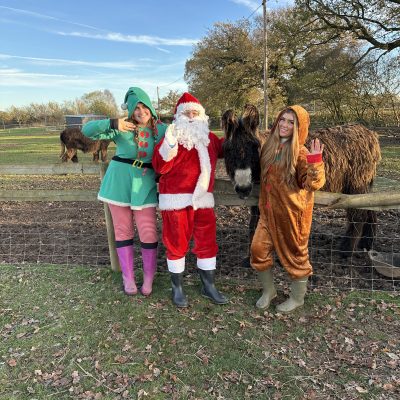 Three people in Christmas costumes, one as Santa, stand with a donkey in a rural setting.