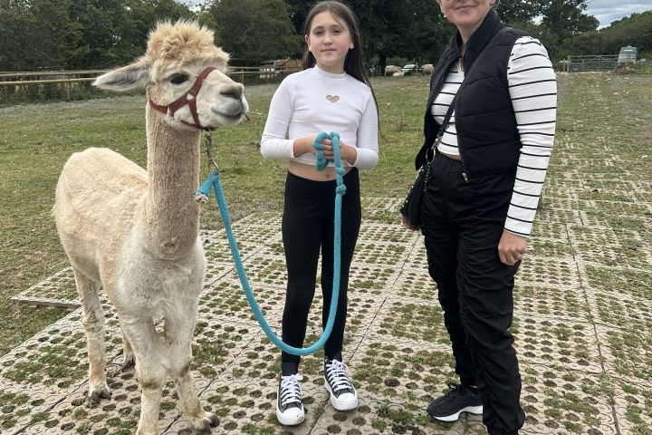 Child and adult with an alpaca on a lead, standing on a patterned ground outdoors.