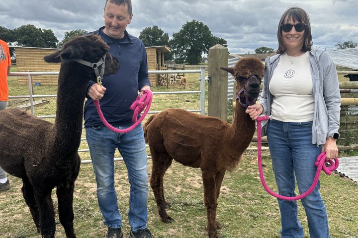 Two people holding alpacas on a farm under a cloudy sky.