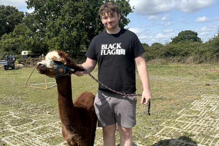 Person in black shirt stands outside with a brown alpaca on a leash, near a tire, under a blue sky.