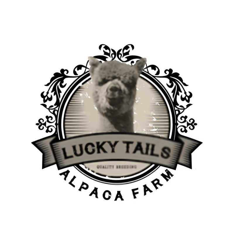 Logo with alpaca image, text 'Lucky Tails' and decorative border.