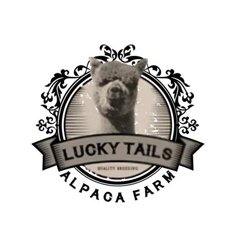 Logo with alpaca image, text 'Lucky Tails' and decorative border.