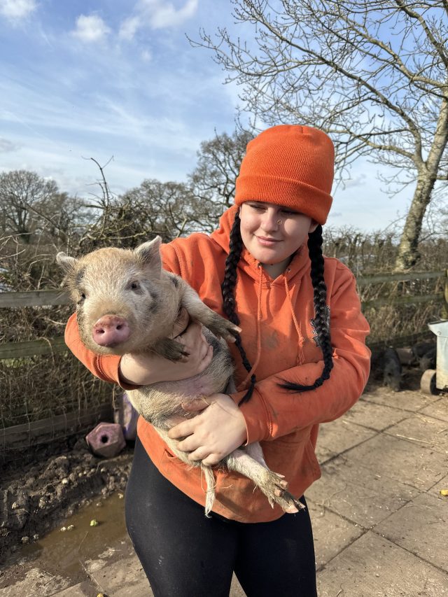 Person in orange outfit holding a pig outdoors on a sunny day.