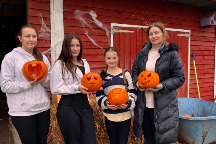 Four people holding carved pumpkins in front of a red shed on a cloudy day.