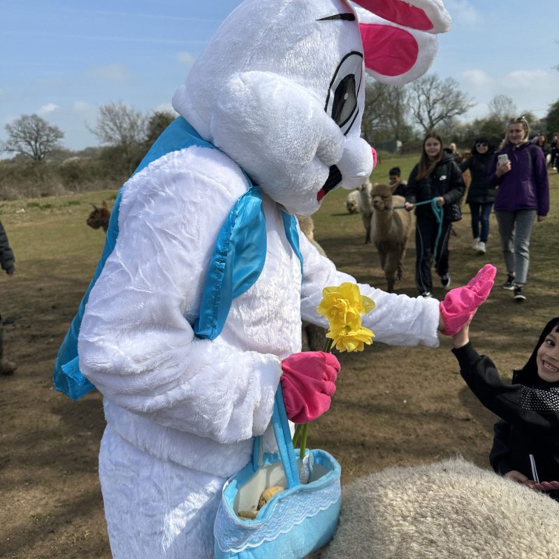 Person in rabbit costume holds daffodil, interacting with children outdoors.