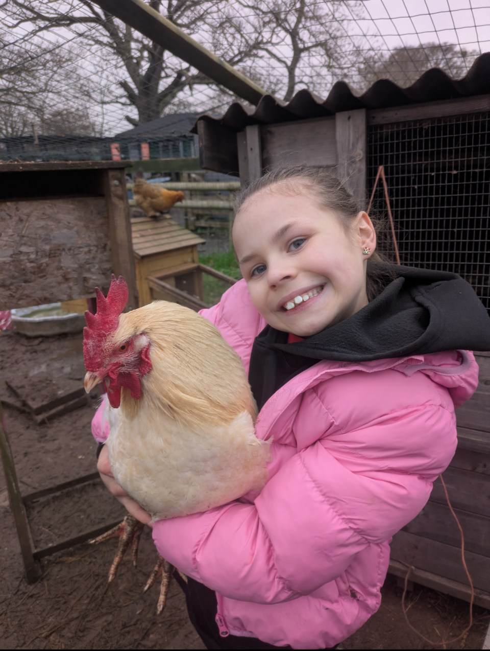 Child in pink jacket holds a chicken, smiling in front of a coop on a farm.
