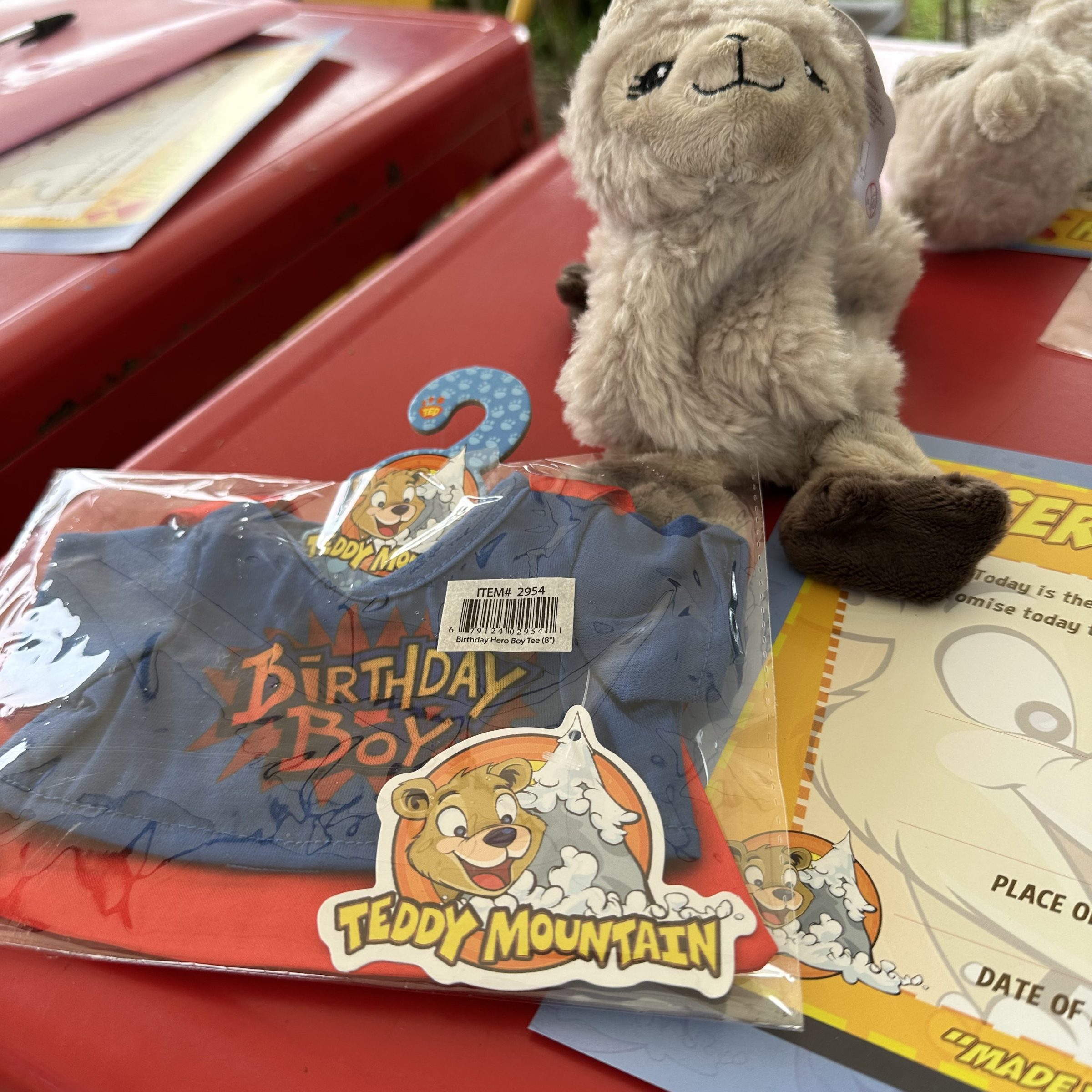 Stuffed bear and blue outfit on red table with certificates.