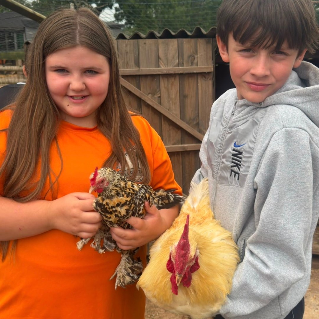 Two children holding chickens, standing outside near a wooden fence.