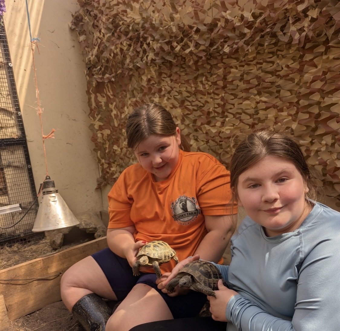 Two children sitting with tortoises in a fenced area.