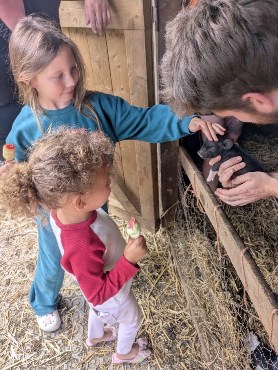 Two children petting a black piglet held by an adult in a barn.